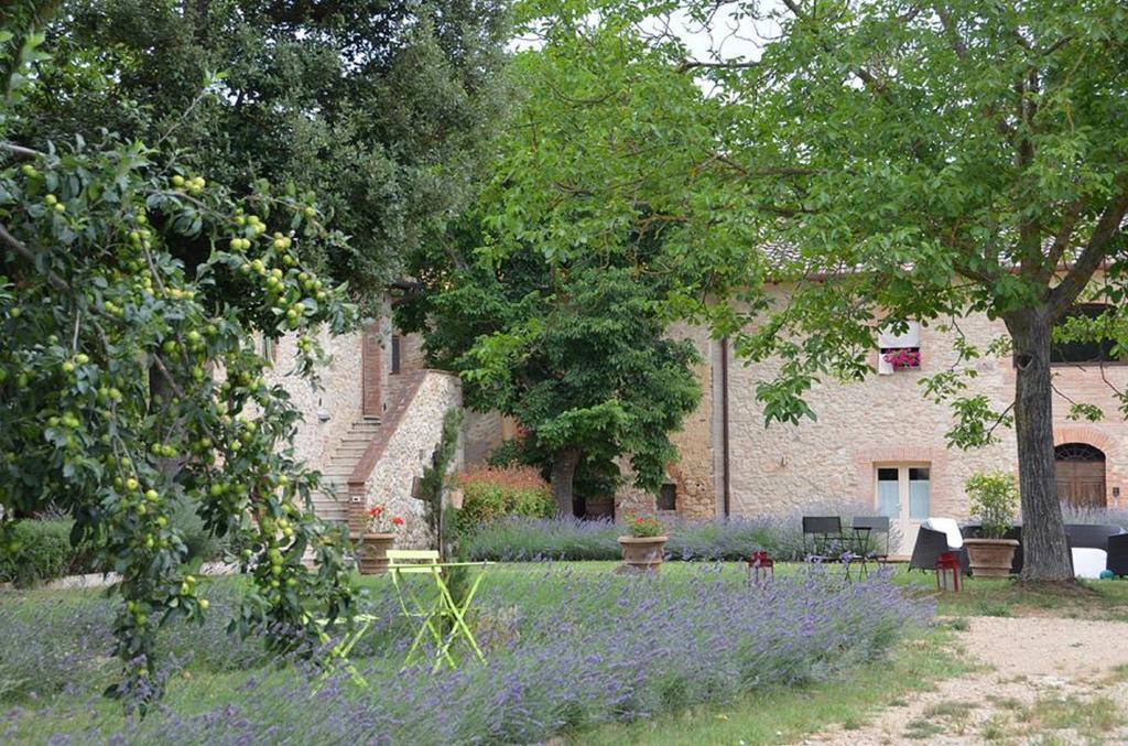 Agriturismo La Segolina Colle di Val d'Elsa Buitenkant foto