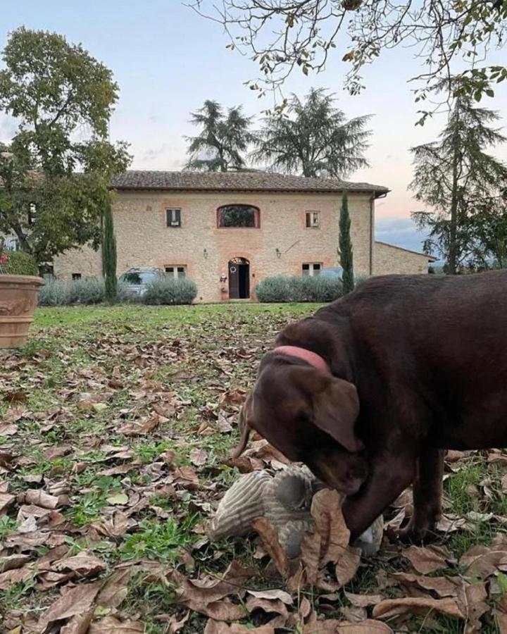 Agriturismo La Segolina Colle di Val d'Elsa Buitenkant foto