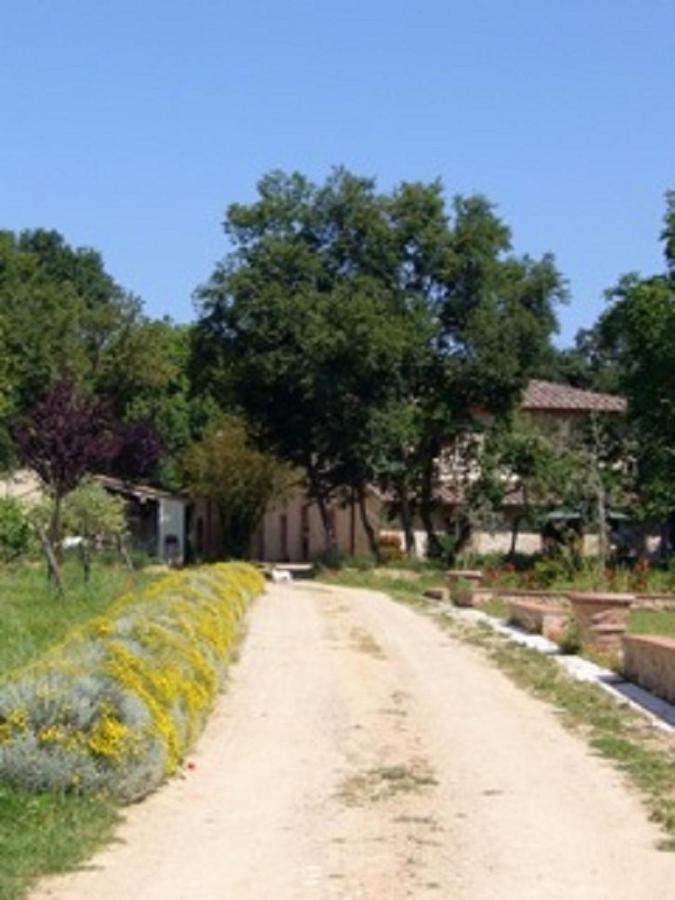 Agriturismo La Segolina Colle di Val d'Elsa Buitenkant foto